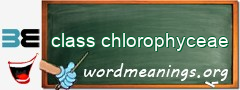 WordMeaning blackboard for class chlorophyceae
